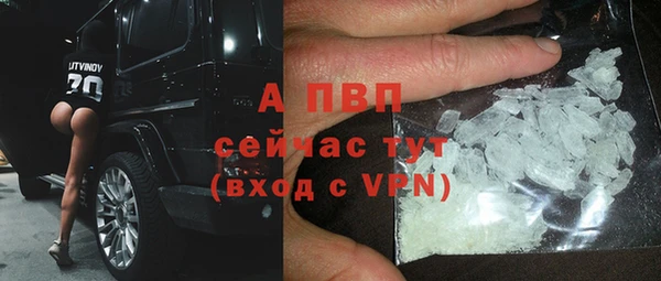 стаф Кулебаки