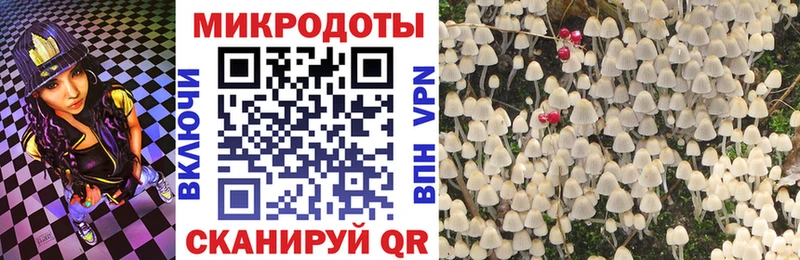 Галлюциногенные грибы Psilocybe Воткинск