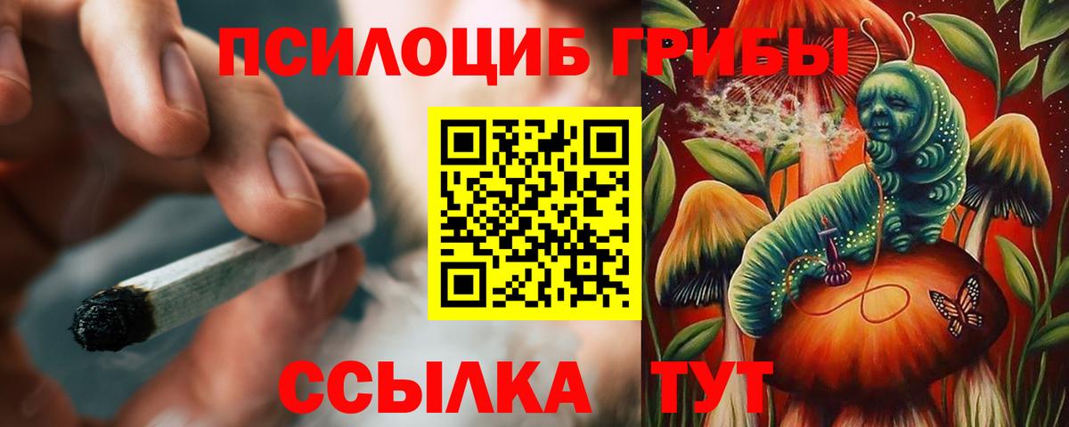 Воткинск  где найти наркотики  Псилоцибиновые грибы ЛСД  Вход с VPN  Галлюциногенные грибы GOLDEN TEACHER 